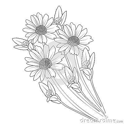 daisy line art, gerbera daisy drawing the outline, elegant minimalist daisy tattoo, daisy tattoo black and white. Vector Illustration