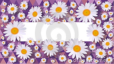 Daisy purple Celebration card Stock Photo
