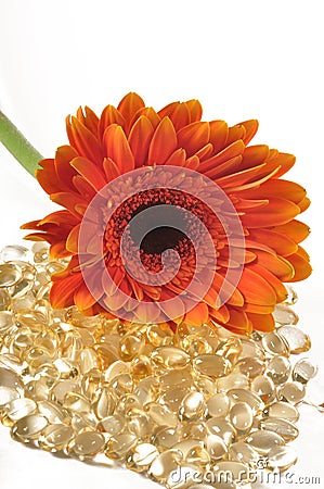 Daisy and Vitamin caplets Stock Photo