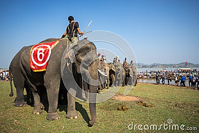 Dak Lak , Vietnam - March 12, 2017 : Elephants stand in line before the race at racing festival by Lak lake in Dak Lak, center hig Editorial Stock Photo