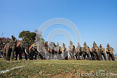 Dak Lak , Vietnam - March 12, 2017 : Elephants stand in line before the race at racing festival by Lak lake in Dak Lak, center hig Editorial Stock Photo