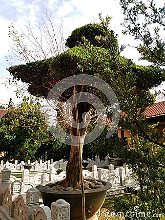 dalat vietnam temple nature landscape Stock Photo