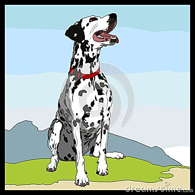 Dalmatian Vector Illustration