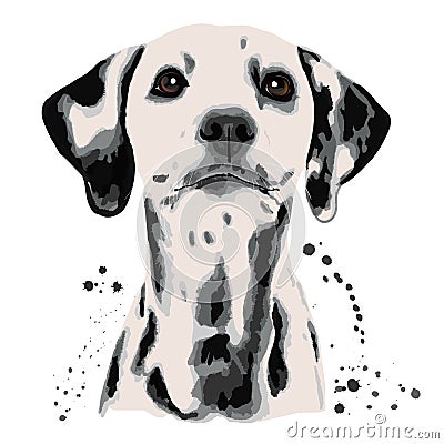 Dalmatian and blots the dog`s head Vector Illustration