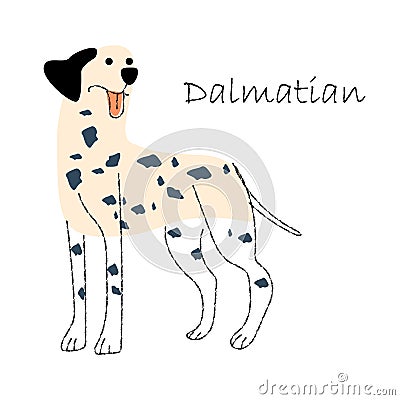 Dalmatian . Cute dog cartoon characters . Flat shape and line stroke design . Vector Illustration