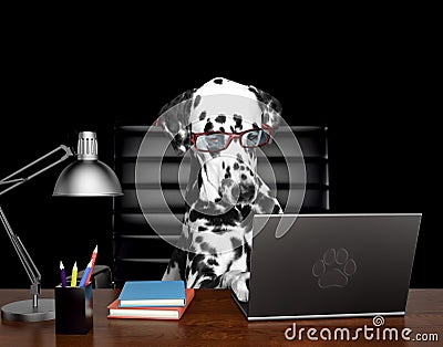 Dalmatian dog in glasses is doing some work on the computer. Isolated on black Stock Photo