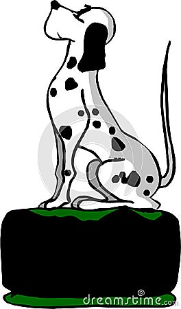 Dalmatian dog sitting Stock Photo