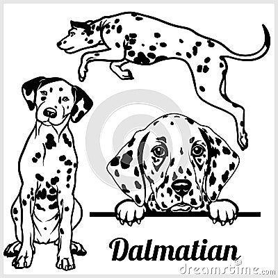 Dalmatian - vector illustration for t-shirt, logo and template badges Vector Illustration