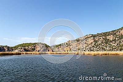 Dalyan river is populer tourist destination in Turkey. River hosts the caretta caretta and many birds and fishs Stock Photo