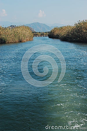 Dalyan river in Turkey Stock Photo