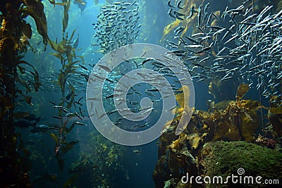 Damage to the ozone layer and climate change Stock Photo