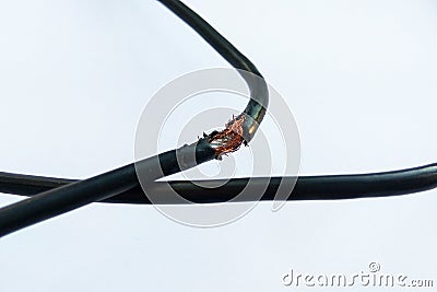 Damaged black electric cord on white background Stock Photo