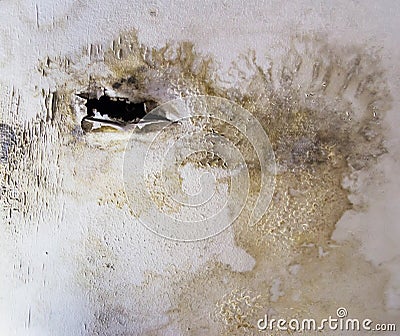 Damaged ceiling Stock Photo