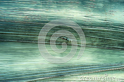Damaged green hay ball closeup Stock Photo
