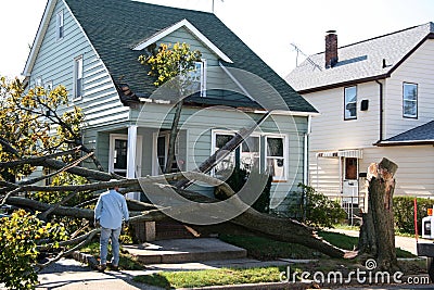 Damaged House from Tree Stock Photo