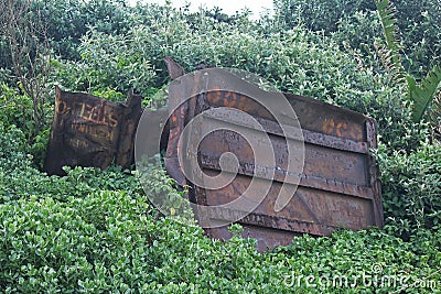 DAMAGED OLD RUSTED GOODS CONTAINER WITH GREEN BACKGROUND Stock Photo