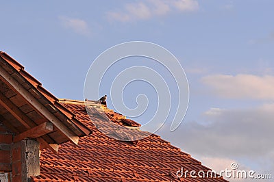 Damaged roof Stock Photo