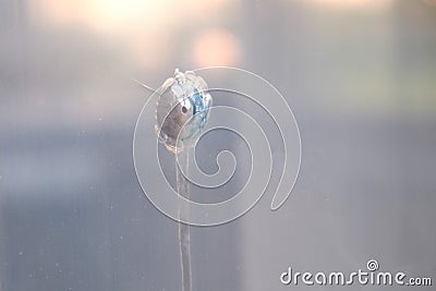 Damaged from a shot window. Bullet hole in the glass, close-up. P Stock Photo