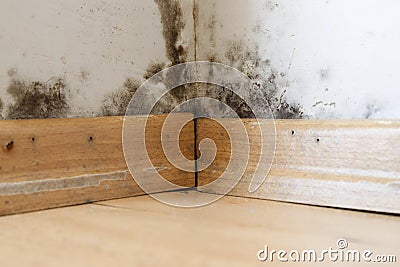 Damp buildings damaged by black mold and fungus, dampness or water. Stock Photo