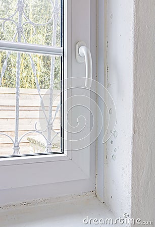 Damp Mold on Wall and Window Frame Stock Photo