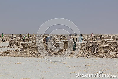 DANAKIL, ETHIOPIA - MARCH 24, 2019: Afar tribe salt miners in the Danakil depression, Ethiopi Editorial Stock Photo