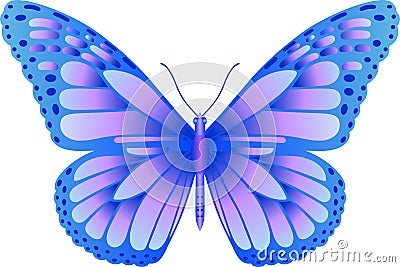 Danaus plexippus butterfly vector image Vector Illustration