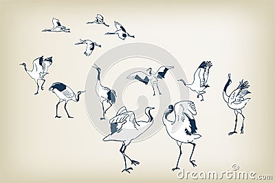 Dance crane bird sketch vector japanese birds Stock Photo