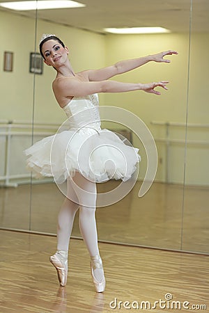 Dancing Ballerina Stock Image - Image: 19681811