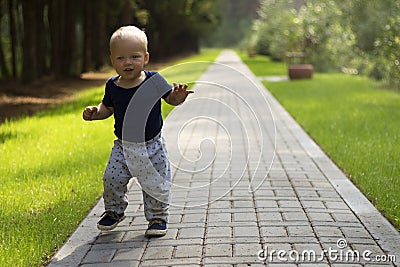 Dancing toddler in the park. First independent steps of cute one year baby boy Stock Photo