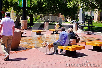 Boulder Colorado Dancing Waters for Children and Adults Pearl Street Mall Editorial Stock Photo