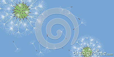 Dandelion background. Vector Illustration