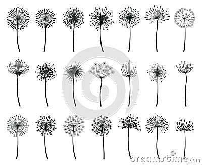 Dandelion blowball botanical fluff flower plants silhouettes. Hand drawn blooming dandelion blowball vector flat Vector Illustration