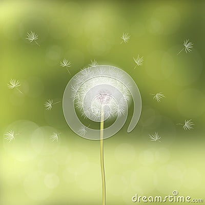 Dandelion blown by the wind, against a background of green blurred forest. Natural appearance. Spring mood. Vector Illustration