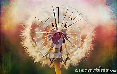 dandelion, Fairytale style, faded paper, mixed media, photo, vibrant Stock Photo