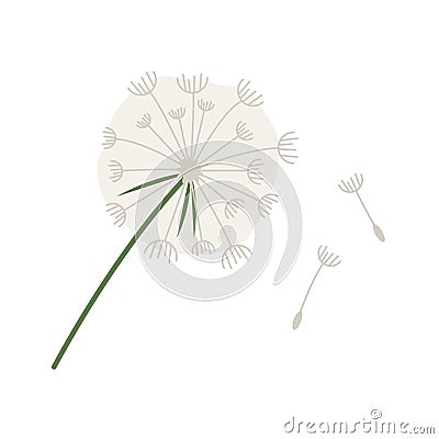 Dandelion flat icon Vector Illustration