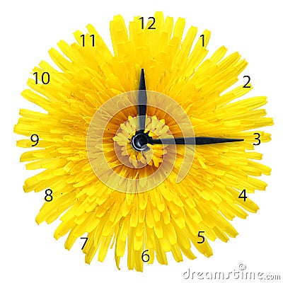 Dandelion flower - clock. Stock Photo