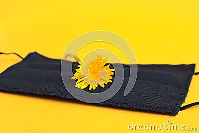 A dandelion flower lies on a black protective mask on a yellow background, close-up-the concept of the impossibility of a Stock Photo