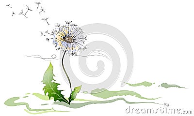 Dandelion Vector Illustration