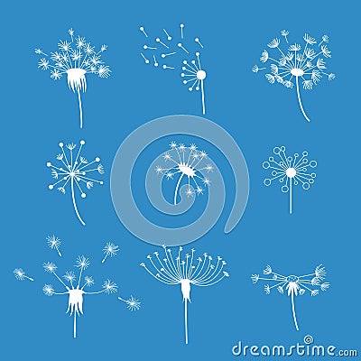 Dandelion Fluffy Flower and Seeds Set. Vector Vector Illustration