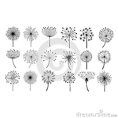 Dandelion Fluffy Seeds Flowers Set Vector Illustration