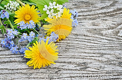 Dandelion and forget-me on a wooden background Stock Photo