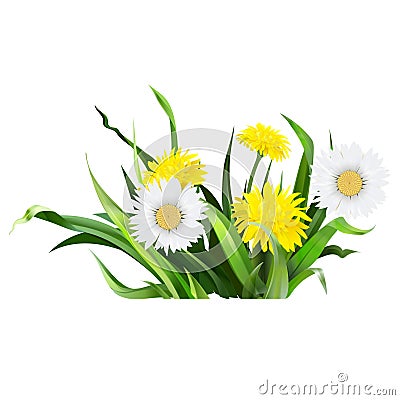 dandelion, green grass, yellow flower illustration, det Vector Illustration