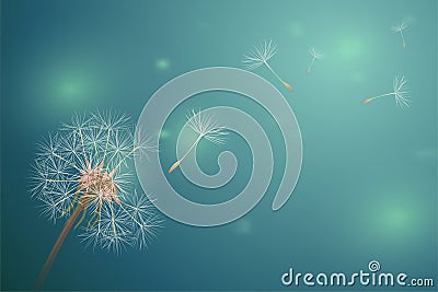 Dandelion in Green horizontal blur backdrop. Bokeh light on summer season illustration. Closeup blowball with flying Vector Illustration