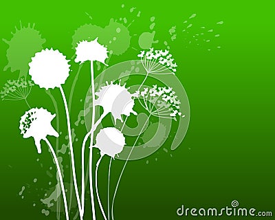 dandelion green Vector Illustration