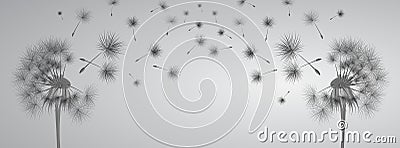 Dandelion on grey. Vector Illustration