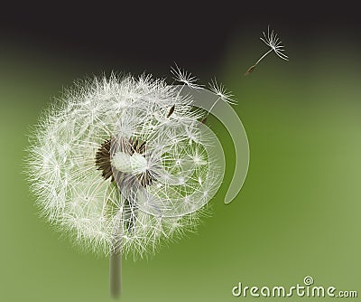 Dandelion. Cartoon Illustration