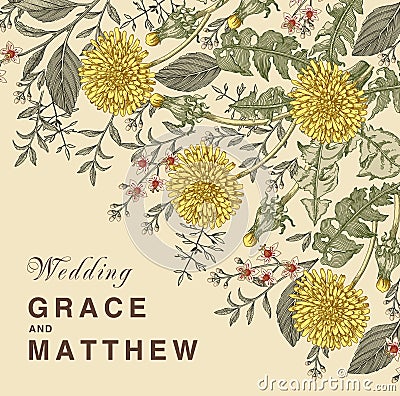 Dandelion isolated floral. Wedding invitation flowers. Vintage card. Drawing engraving frame. Wallpaper vector illustration Vector Illustration