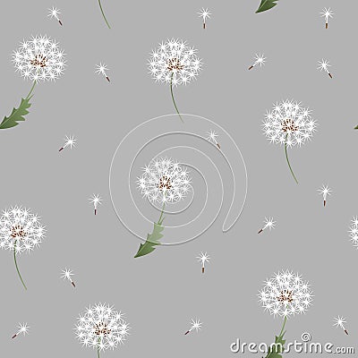 Dandelion seamless pattern on grey background Vector Illustration