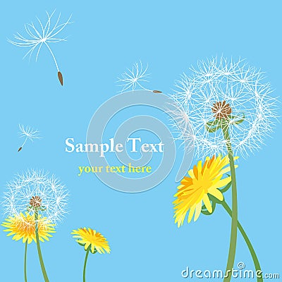 Dandelion seeds Vector Illustration