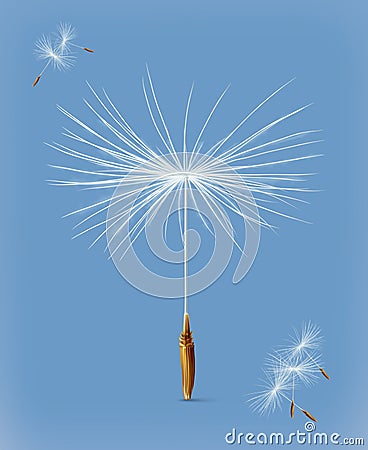 Dandelion seeds vector icon Vector Illustration